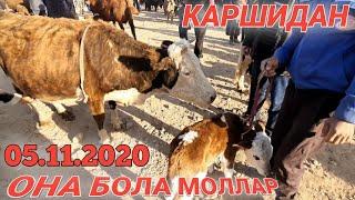 КАШКАДАРЁ КАРШИ МОЛ БОЗОРИ НАРХЛАРИ 5-НОЯБР  | QASHQADARYO QARSHI MOL BOZOR NARXLARI 5-NOYABR 2020