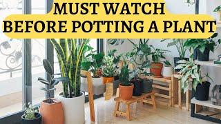 When to repot plants | what is ideal pot size for plants