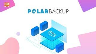 PolarBackup Dashboard Overview- DealMirror