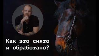 Как это снято и обработано? фотосессия с лошадью