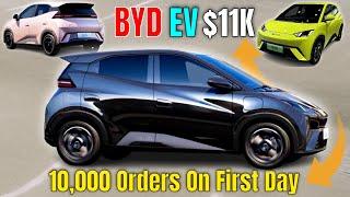 BYD Seagull EV: $11,400 Price Tag Snags 10,000 Orders in 24 Hours!