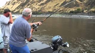 Ed "Lemonade" Gibbins catches monster Sturgeon |SJX Jet Boats