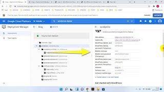 Find User and Password Information WordPress Deploy on Google Cloud
