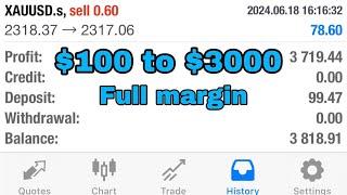 $100 to $3000 full margin entry