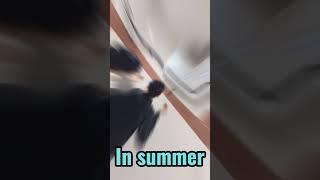 Winter VS Summer #viral #trending #shortsvideo #funnyvideo #youtubeshorts #itshammad #wintervssummer