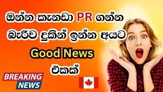 ඔන්න කැනඩා PR ගන්න බැරිව දුකින් ඉන්න අයට good news එකක් | Canada Immigraion breaking news