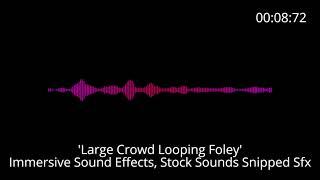  Immersive Sound Effects 'Large Crowd Looping Foley'