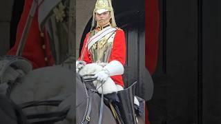 King's guard shakes his head in disbelief    #royalhorseguard