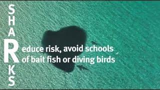 SharkSmart - avoid bait fish and diving birds
