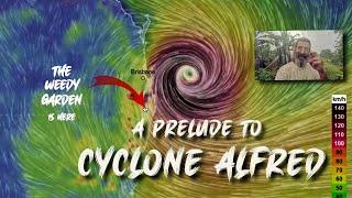 A Prelude to Cyclone Alfred in The Weedy Garden