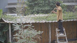 #CountrysideLife 29 | Renovating The Tool Room In The Yard | 滿叔的院子Aman‘s Simple Life