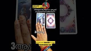 #timeframe #tarottimeframe #malayalamtarot #malayalmtarotreading #tarotmalayalam #shortsyoutube