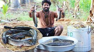 SNAKEHEAD MURREL FISH | Viral Meen | VILLAGE STYLE Cooking & AMAZHING  Eating