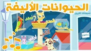 الحيوانات الأليفة –  فيديوهات تعليمية باللغة العربية |  Learn Pets in Arabic for Kids