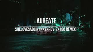 AUREATE - SHELOVESADLIN (NXZXROV-SX180 REMIX)