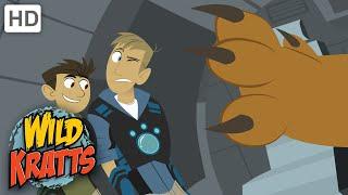 Wild Kratts | Caracal-Minton | Full Episode | Season 1