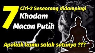 7 CIRI-CIRI ORANG YG DIDAMPINGI KHODAM MACAN PUTIH