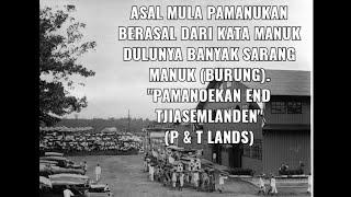 Brief History of Pamanukan District | Pamanoekan and Tjiasemlanden (P&T Lands)