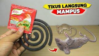 Ternyata cukup pake ini TIKUS langsung MAMPUS !!!