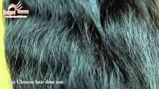 Hair Story -The Origins of Hair GoodyardHair