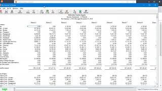 Understanding the 12 Month Income Statement in Sage 50