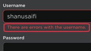 Roblox Fix there are errors with the username