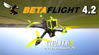 Betaflight 4.2 Maiden Test - Dalprop Nepal N1 - Vega FX-5 6S