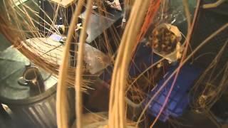 Delaware woman has been making baskets for 20 years, at 88 years old she is still going strong