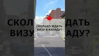 Сколько ждать визу в Канаду?