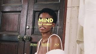 ''Mind' || Tems x Burnaboy - Afrobeats Typebeat