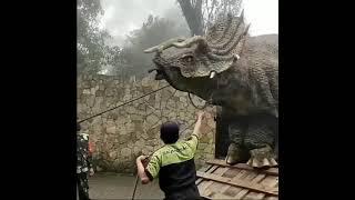 VIRALL DINOSAURUS NGAMUK DI MAGETAN TERNYATA INI FAKTANYA #VIRAL