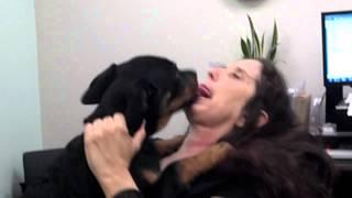 Funniest video Woman LOVES Dogs