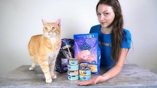 Blue Buffalo Cat Food Review