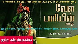 Velpari Story in Mr Tamilan Voice. மிஸ்டர் தமிழன் குரலில் வேள்பாரி