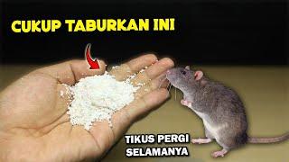 Cukup Pake SERBUK INI,TIKUS LANGSUNG PERGI SELAMANYA !!