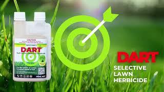 David Grays DART Selective broad-leaf weed killer for lawns.