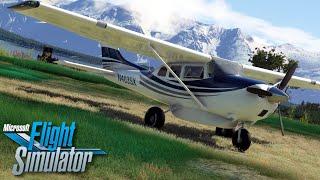 FANTASTIC Freeware Cessna 206 for MSFS!