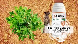 Fusiflex Recommendation Video Syngenta India