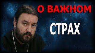 Страх жить, любить, потерять, умереть, ошибиться, страдать, не повстречать... Прот. Андрей Ткачёв