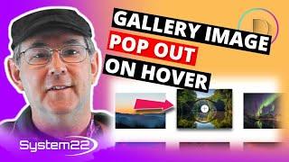 Divi Theme Gallery Image Pop Out On Hover Effect 