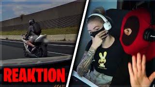 KNATTERCREW REAGIERT auf DASHCAM DRIVERS GERMANY #265  | Knattercrew - Stream Highlights