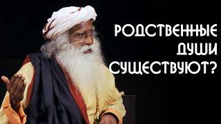 Родственные души есть у каждого человека? Садхгуру на Русском