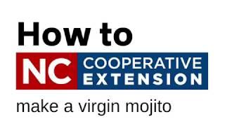 How To: Virgin Mojito