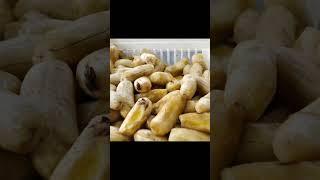호찌만 가면 꼭 먹는 바나나 튀김 - Vinachuoi