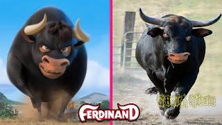  Ferdinand Characters IN REAL LIFE @SONA_Show