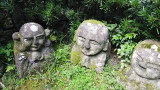 Otagi Nenbutsuji Temple, Arashiyama : 17 September 2019