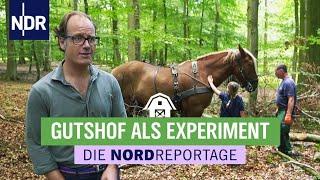 Landwirtschaft kreativ betreiben | Die Nordreportage | NDR