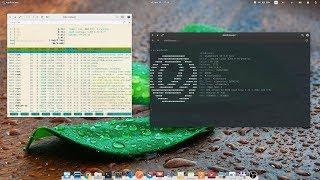 elementary OS 5.0 Juno - для профессионального использования?