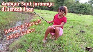 Mancing Mania - Fishing Mania - Mancing Cantik - Strike lele di spot rawa yg di tumbuh kangkung