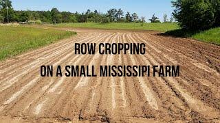 Row Cropping On A Small Mississippi Farm